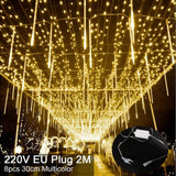Christmas LED Lights