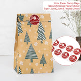 Merry Christmas Gift Bags